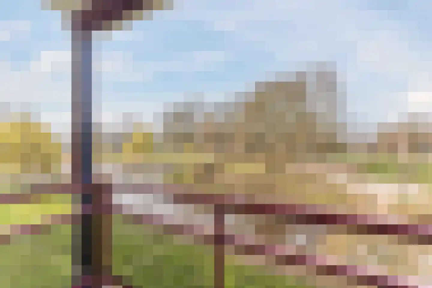Vlas en Graan 67 Veghel thumbnail 5