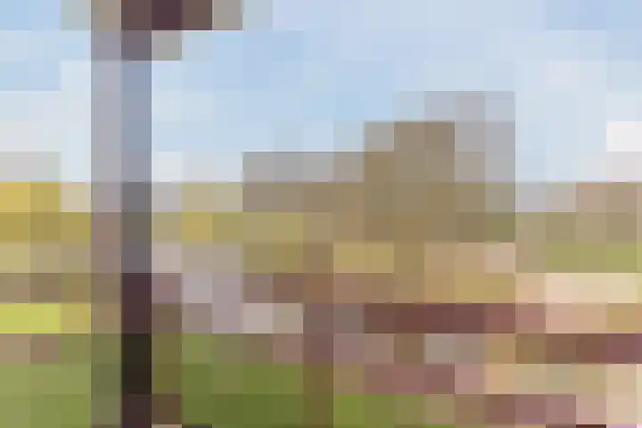 Vlas en Graan 67 Veghel thumbnail 5