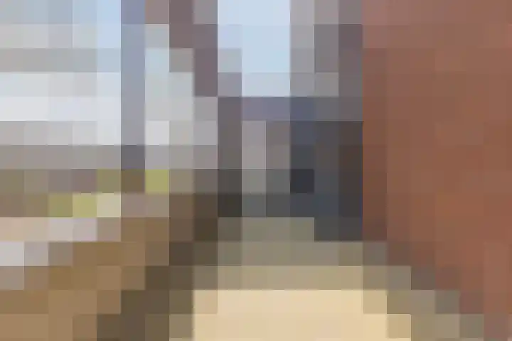 Vlas en Graan 67 Veghel thumbnail 7