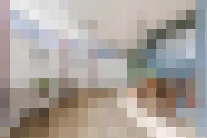 Vlas en Graan 67 Veghel thumbnail 8
