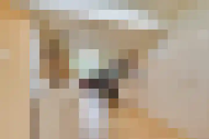 Vlas-oord 15 Houten thumbnail 13