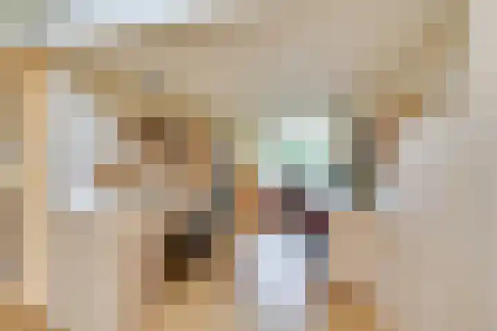 Vlas-oord 15 Houten thumbnail 14