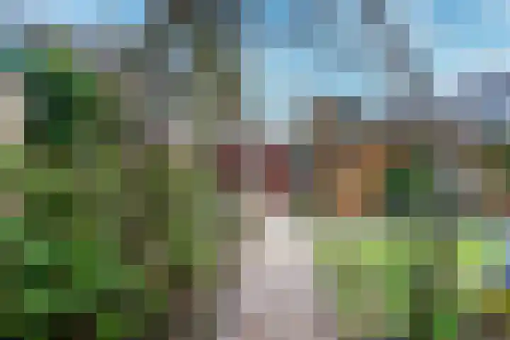 Vlas-oord 15 Houten thumbnail 19