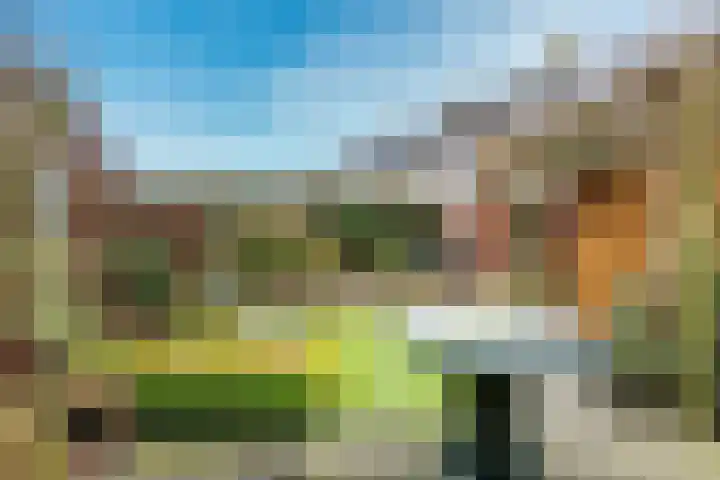 Vlas-oord 15 Houten thumbnail 20