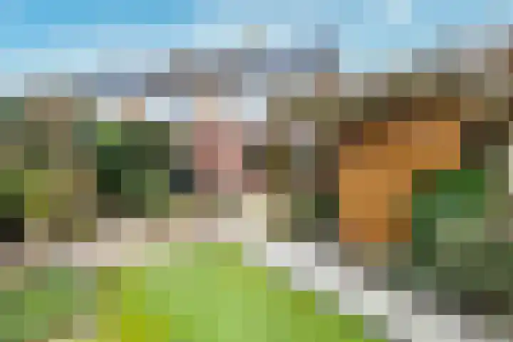 Vlas-oord 15 Houten thumbnail 21