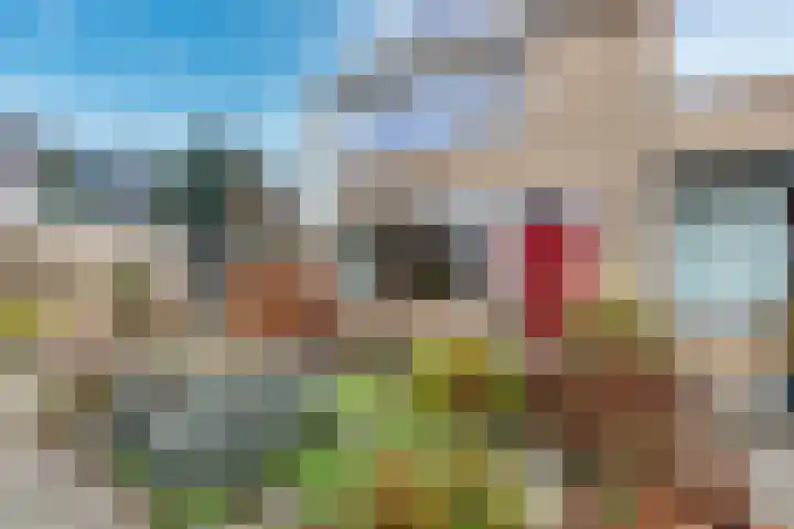 Vlas-oord 15 Houten thumbnail 35