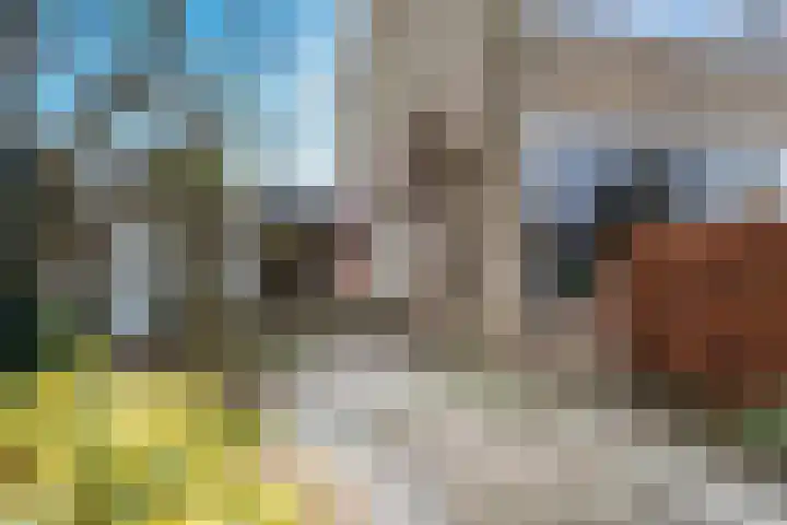Vlas-oord 15 Houten thumbnail 36
