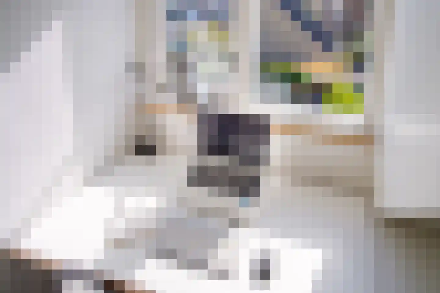 Vlas-oord 3 Houten thumbnail 38