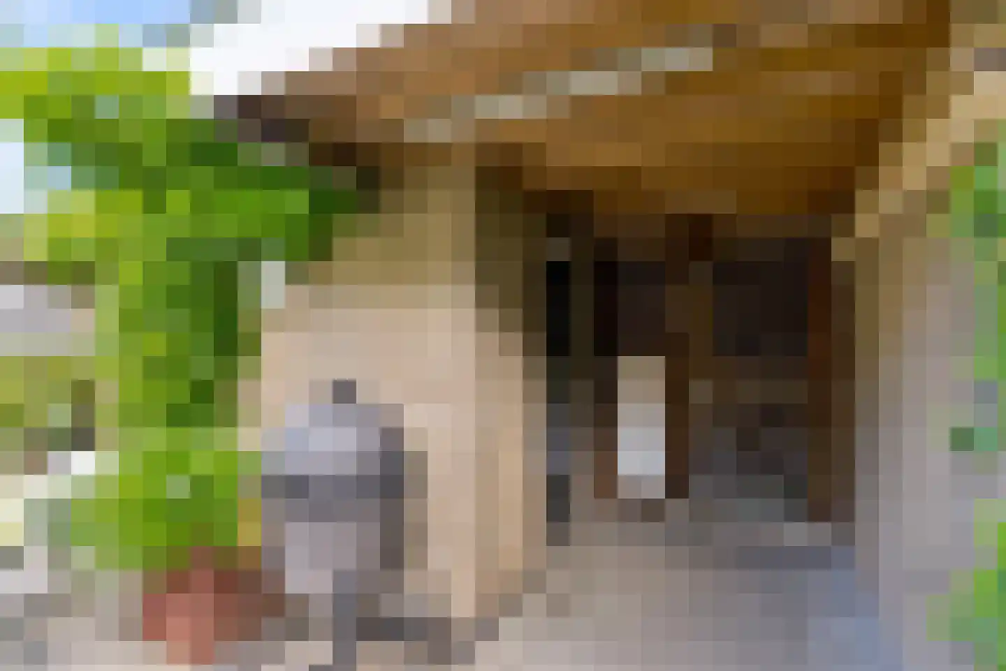 Vlas-oord 3 Houten thumbnail 52