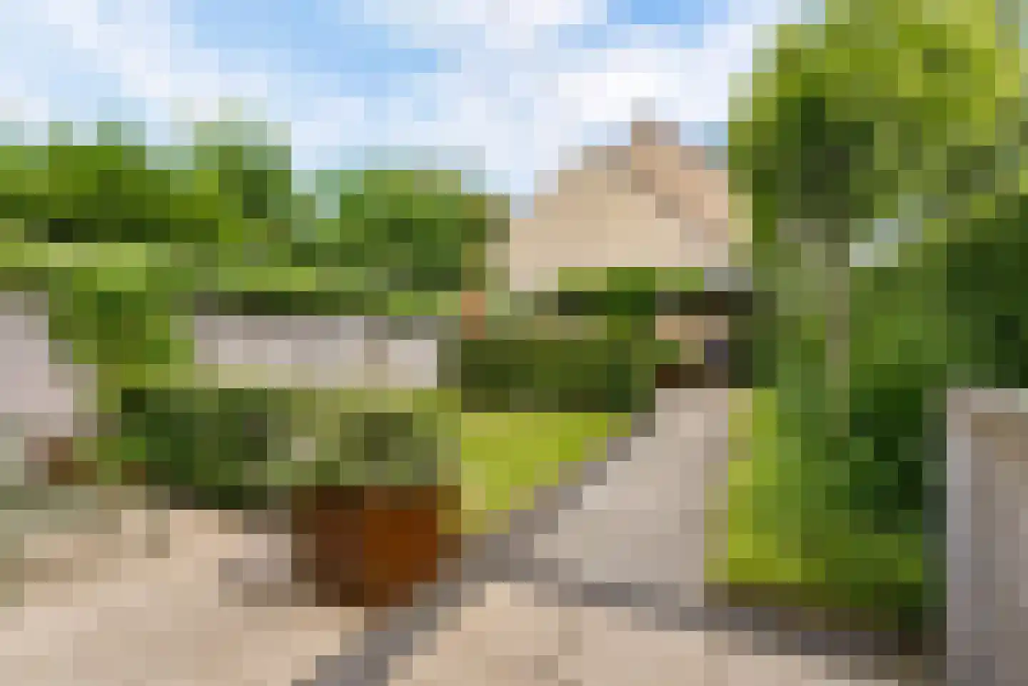 Vlas-oord 3 Houten thumbnail 53