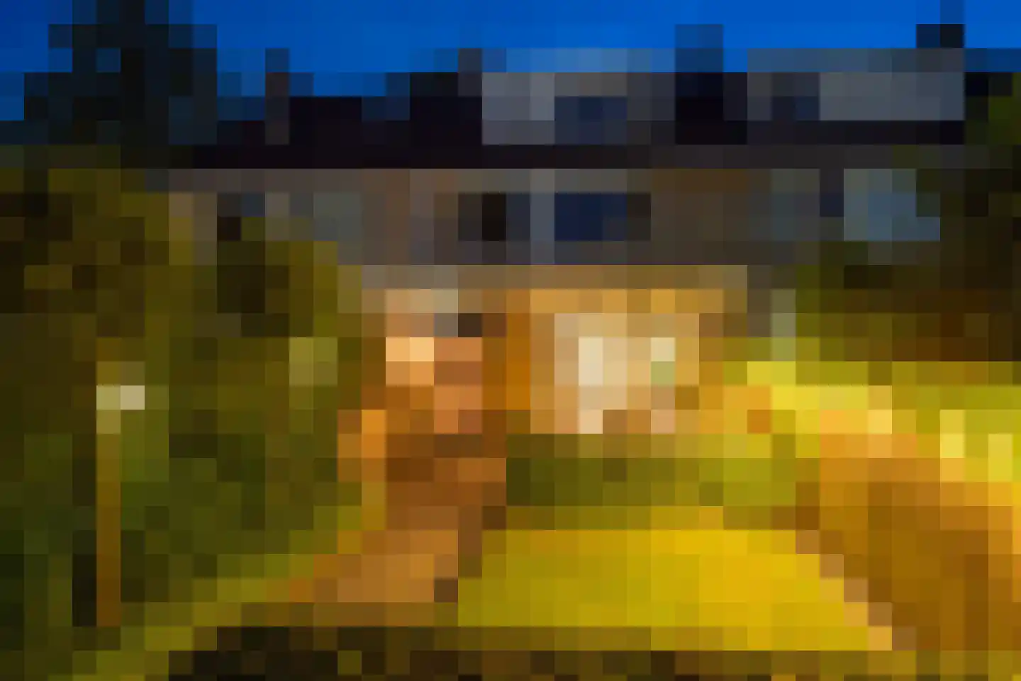 Vlas-oord 3 Houten thumbnail 55
