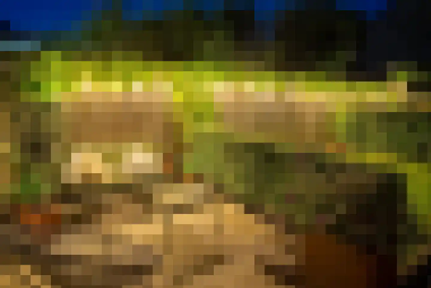 Vlas-oord 3 Houten thumbnail 57