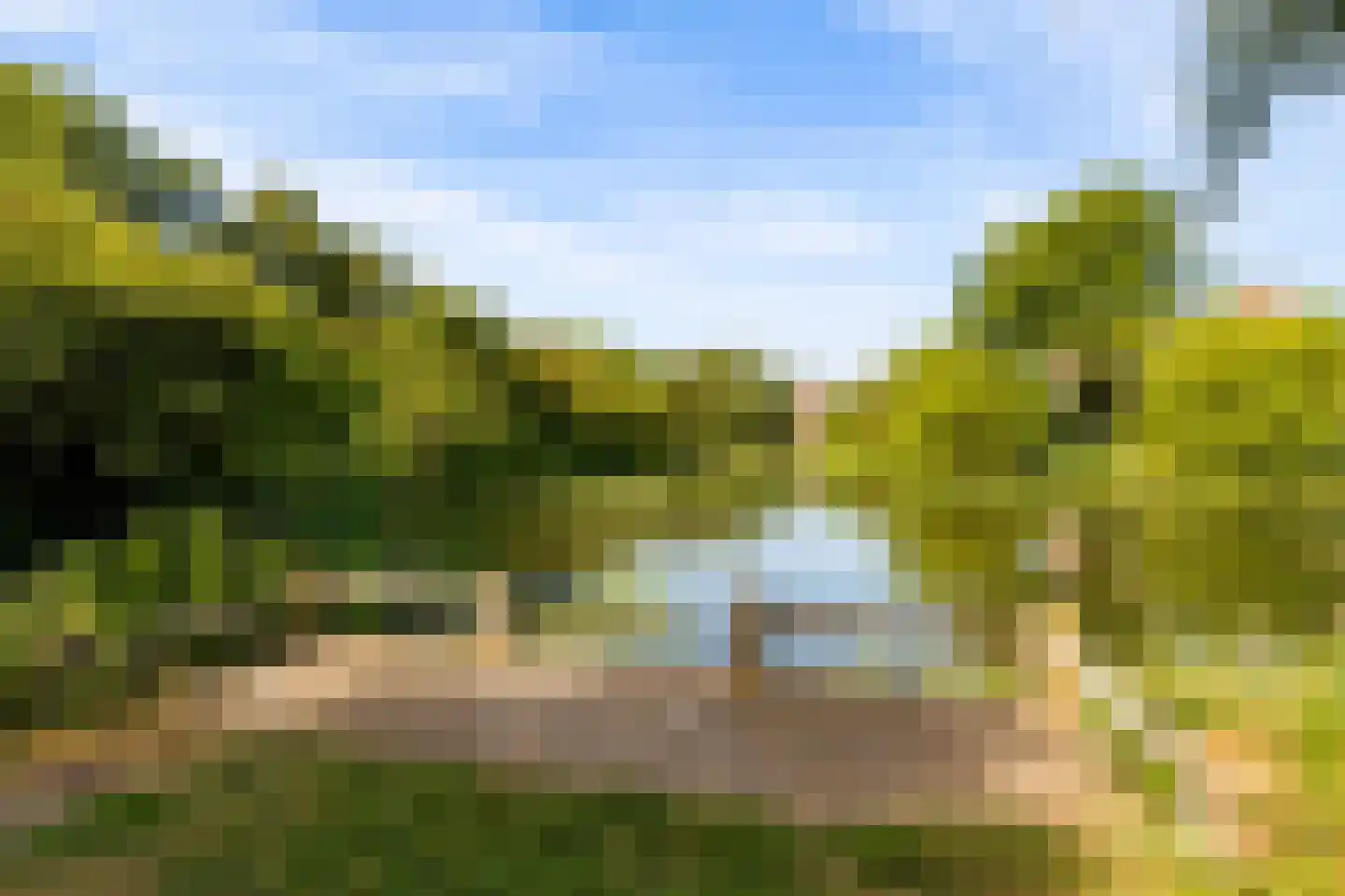 Vlas-oord 3 Houten thumbnail 59