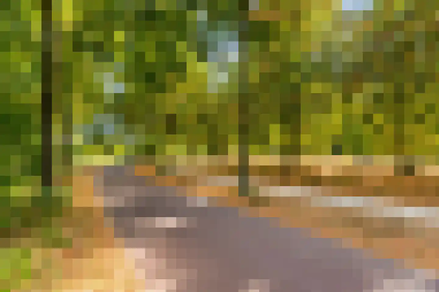 Vlas-oord 3 Houten thumbnail 60