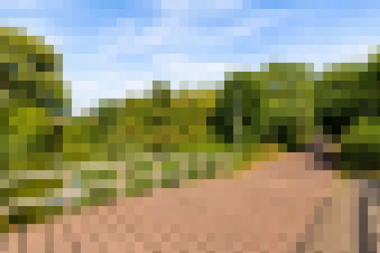 Vlas-oord 3 Houten thumbnail 61