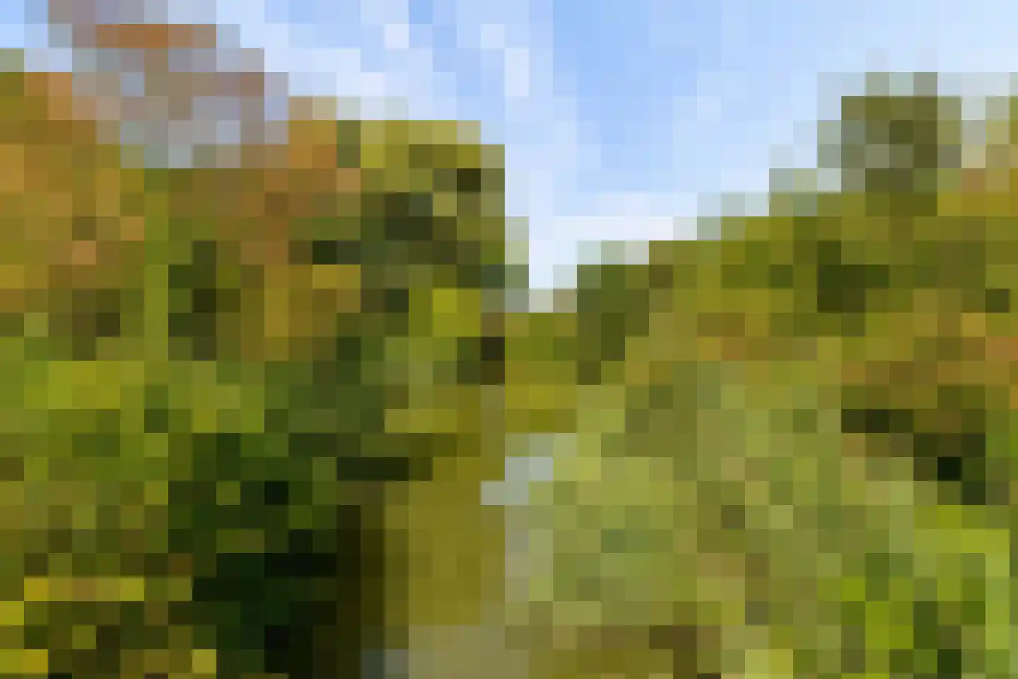 Vlas-oord 3 Houten thumbnail 62