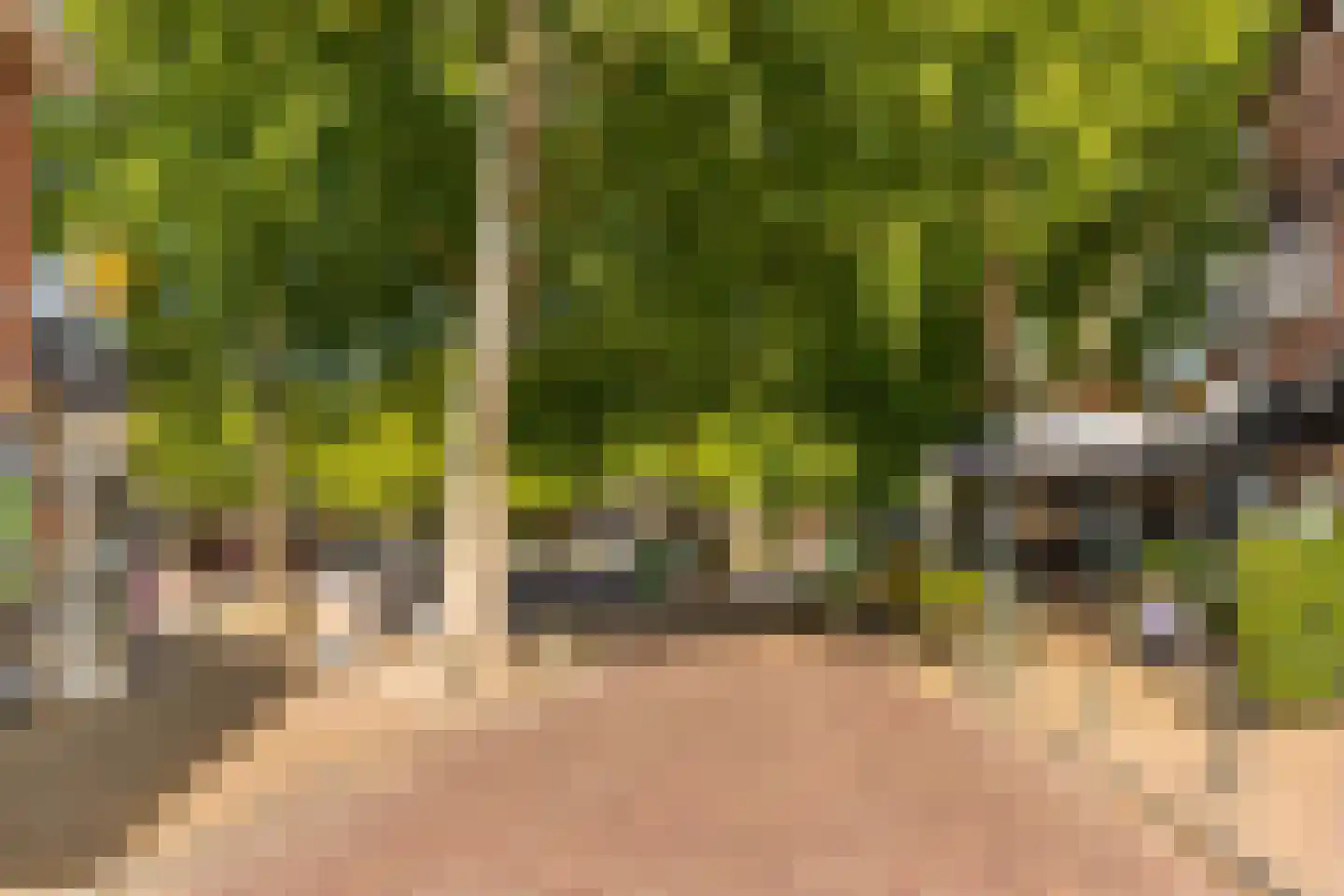 Vlas-oord 3 Houten thumbnail 63