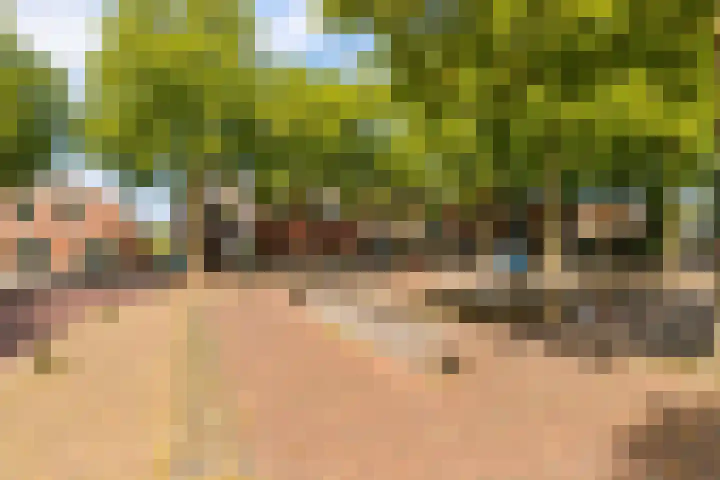 Vlas-oord 3 Houten thumbnail 64