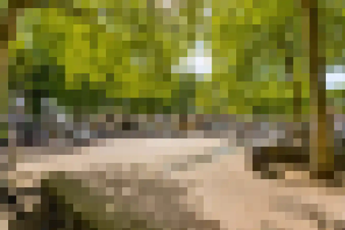 Vlas-oord 3 Houten thumbnail 65
