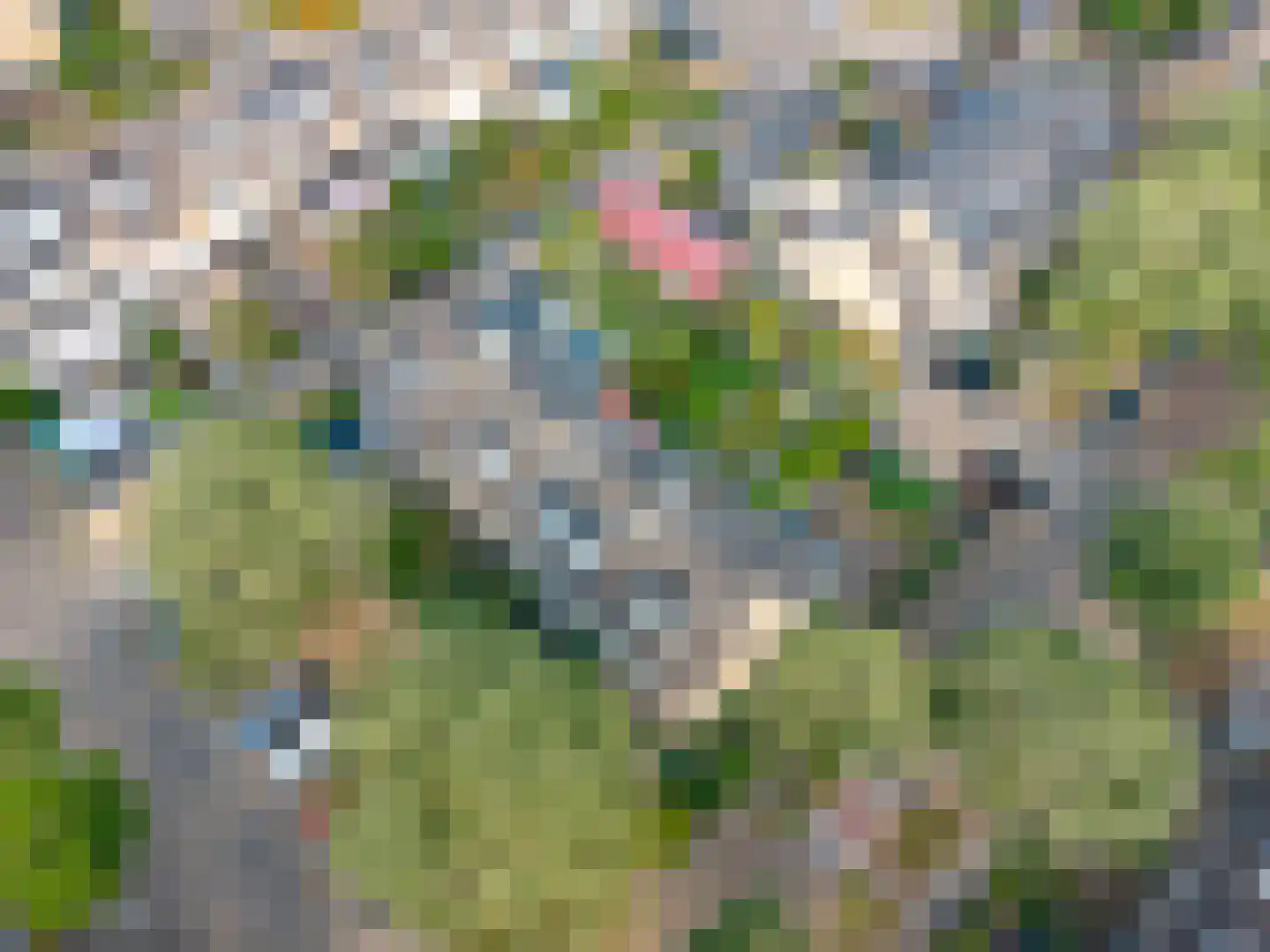 Vlas-oord 3 Houten thumbnail 70