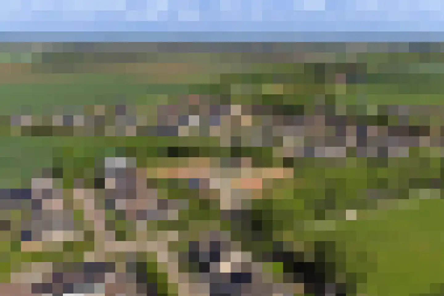 Vlasaard 26 Noordhoek thumbnail 53