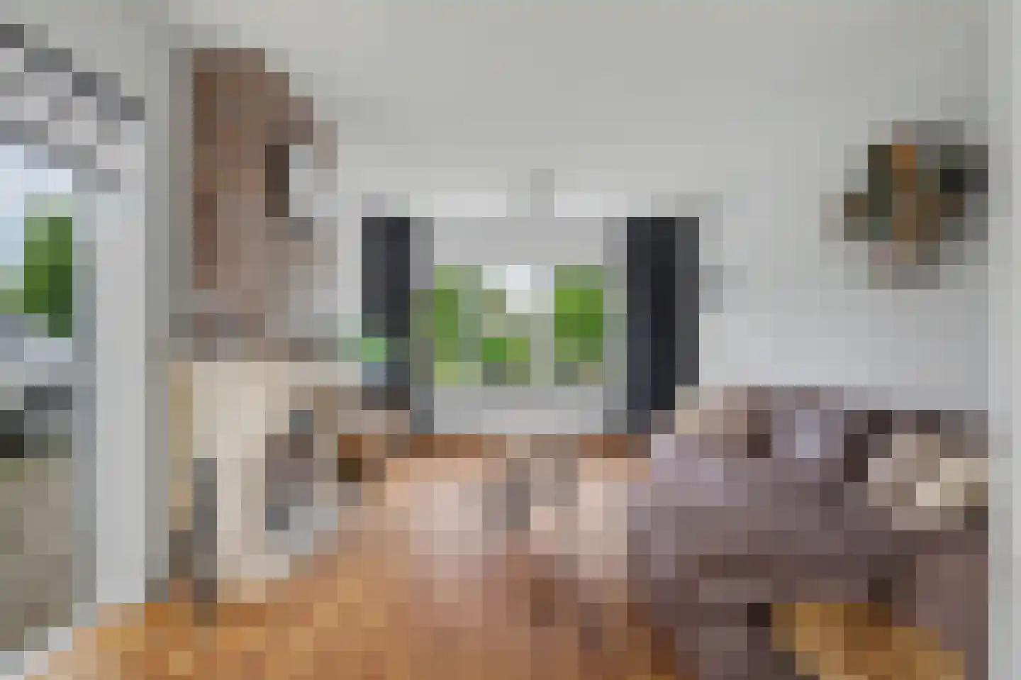 Vlasaard 26 Noordhoek thumbnail 6