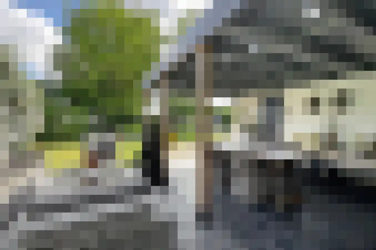 Vlasaard 28 Noordhoek thumbnail 6