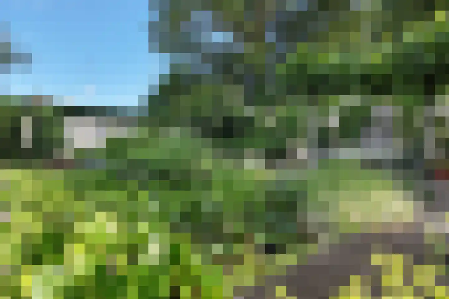 Vlasaard 28 Noordhoek thumbnail 67