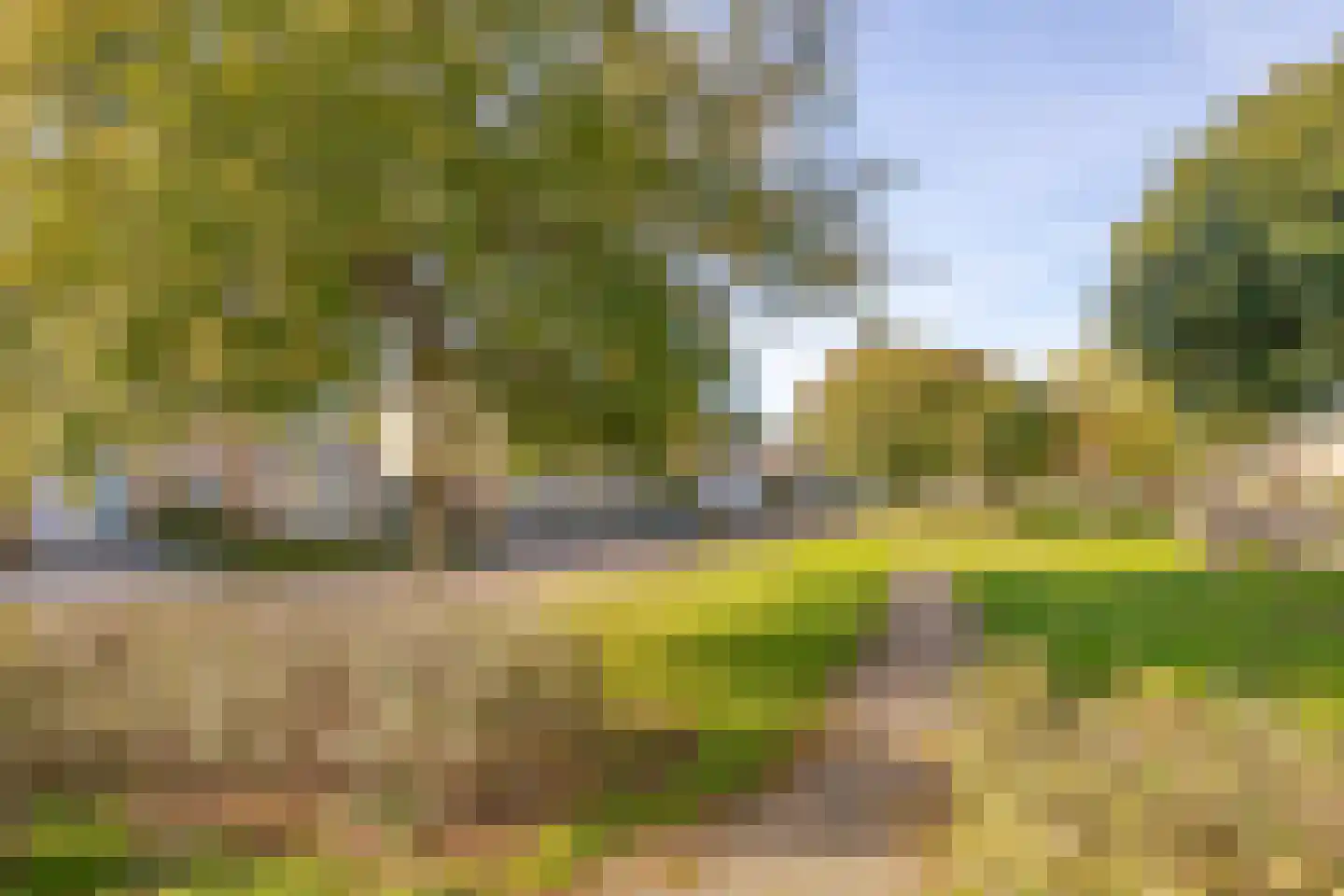 Vlasaardstraat 20 Thorn thumbnail 22