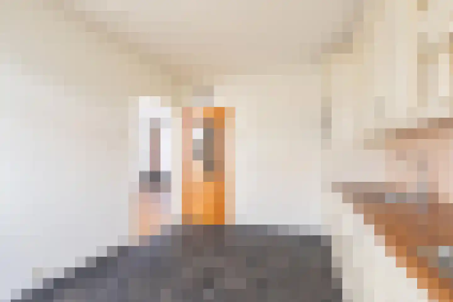 Vlasaardstraat 20 Thorn thumbnail 6