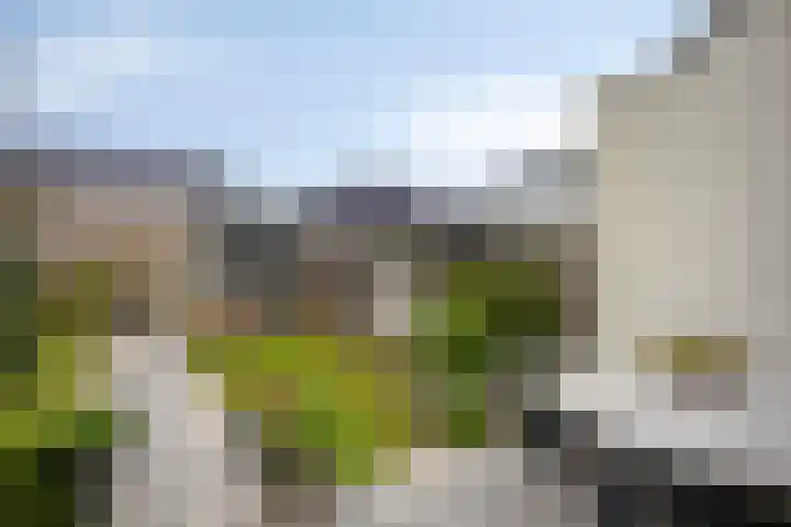 Vlasacker 13 Veldhoven thumbnail 26