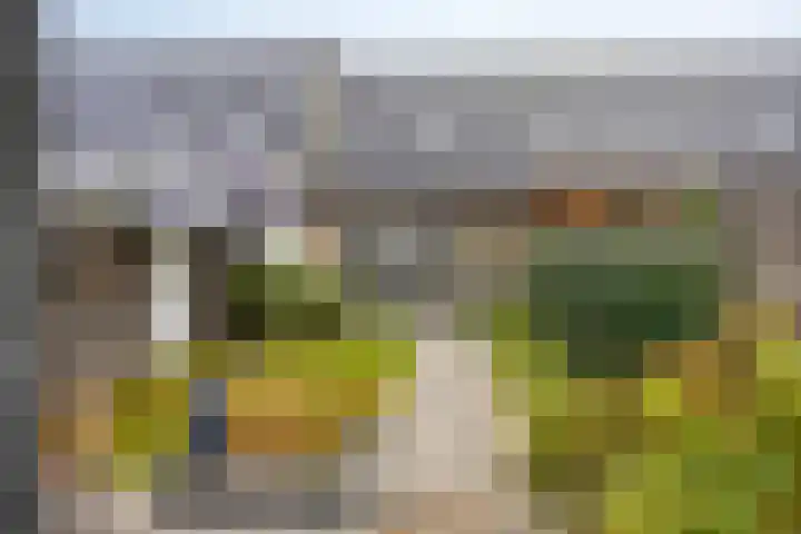 Vlasacker 13 Veldhoven thumbnail 27
