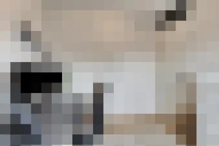 Vlasacker 15 Veldhoven thumbnail 14