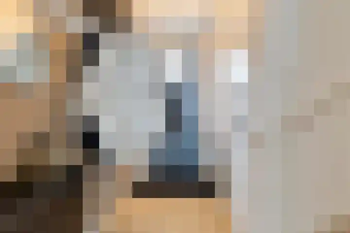 Vlasacker 15 Veldhoven thumbnail 22