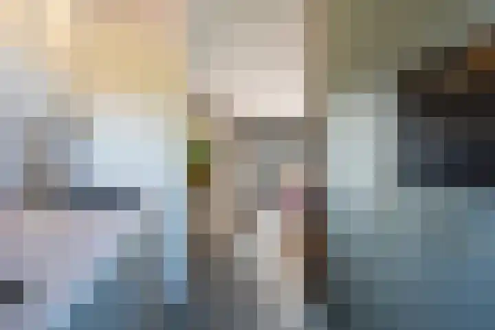 Vlasakker 1 Zevenhoven thumbnail 13