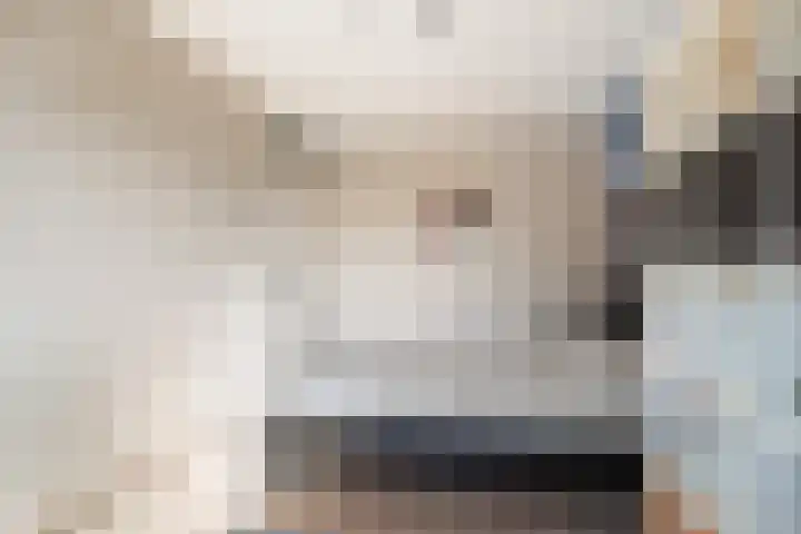 Vlasakker 1 Zevenhoven thumbnail 19