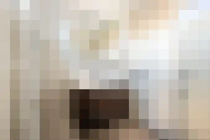 Vlasakker 1 Zevenhoven thumbnail 25