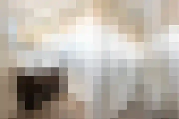 Vlasakker 1 Zevenhoven thumbnail 26
