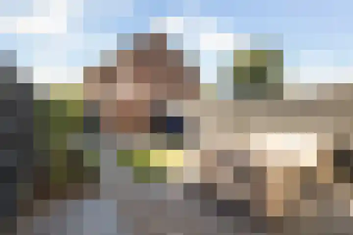 Vlasakker 1 Zevenhoven thumbnail 33