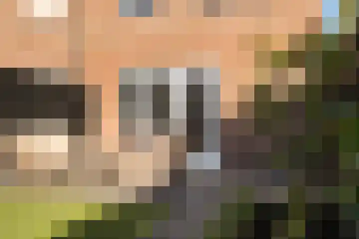 Vlasakker 1 Zevenhoven thumbnail 35