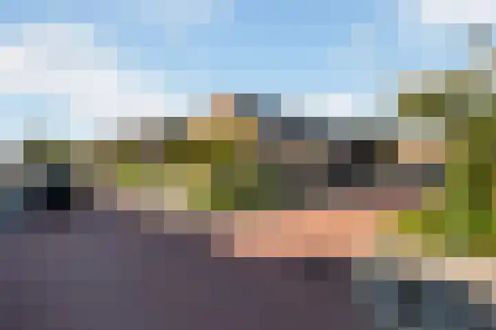 Vlasakker 1 Zevenhoven thumbnail 37