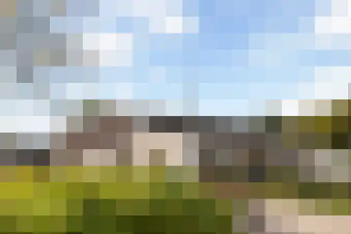 Vlasakker 1 Zevenhoven thumbnail 38