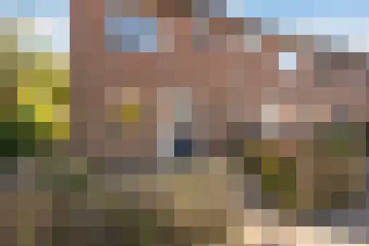 Vlasakker 1 Zevenhoven thumbnail 5