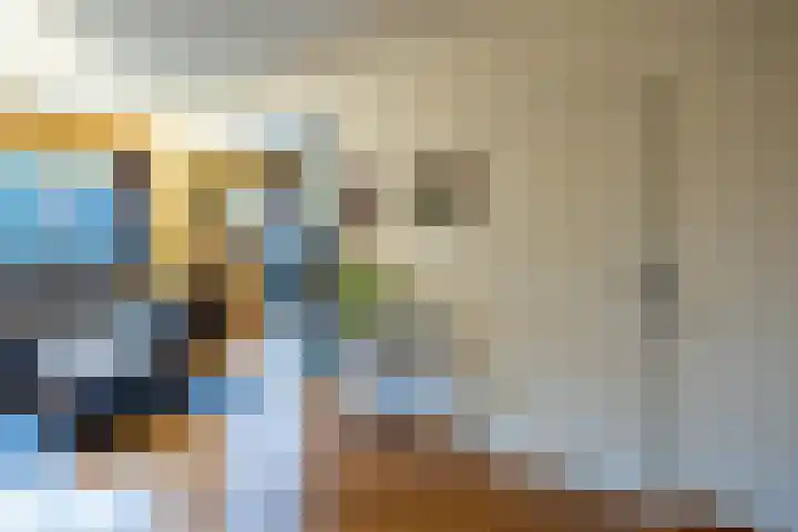 Vlasakker 10 Oostrum thumbnail 10