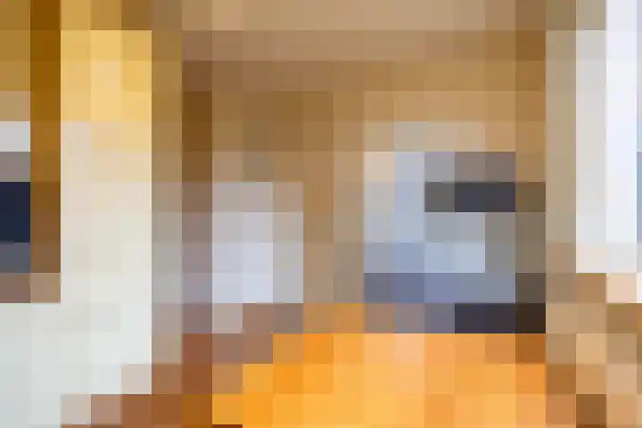 Vlasakker 10 Oostrum thumbnail 14