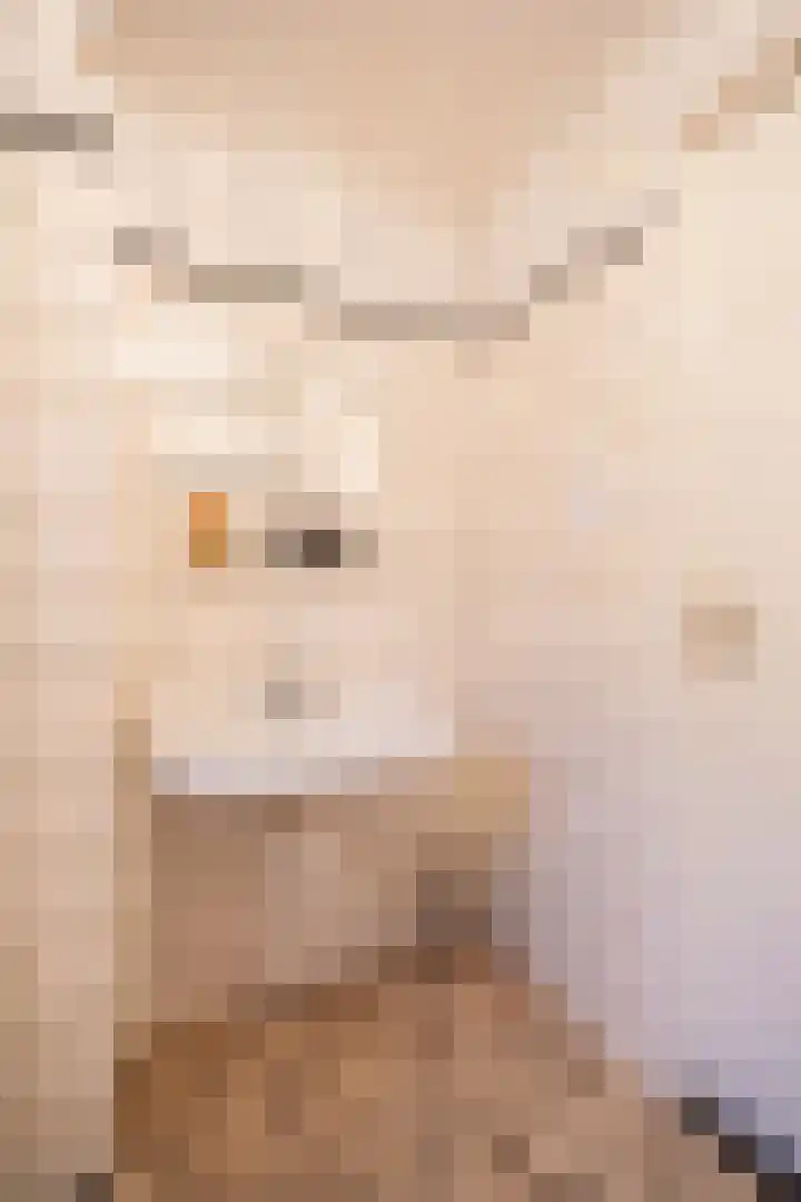 Vlasakker 10 Oostrum thumbnail 23