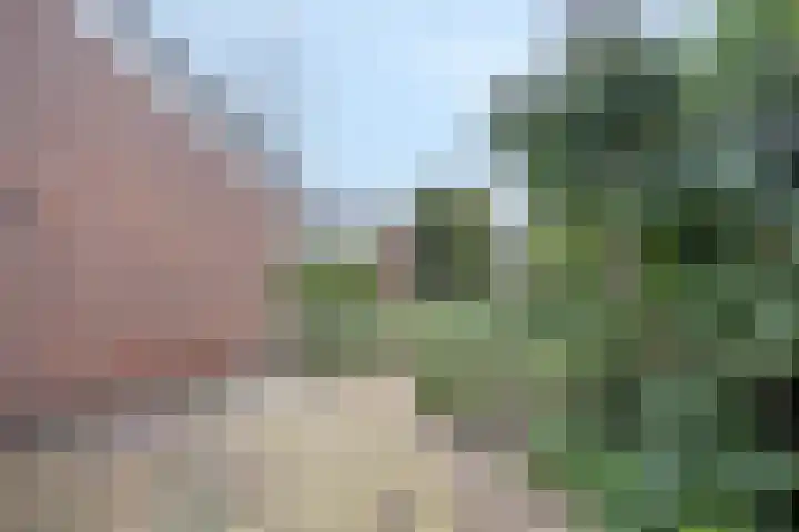 Vlasakker 10 Oostrum thumbnail 25