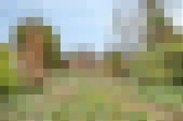 Vlasakker 10 Oostrum thumbnail 26
