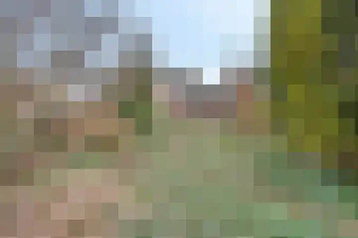 Vlasakker 10 Oostrum thumbnail 27