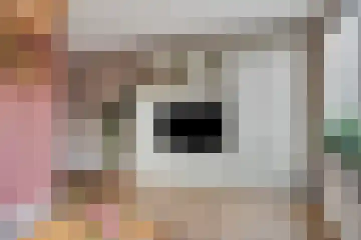 Vlasakker 11 Heino thumbnail 10